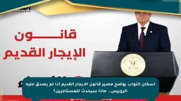 إسكان النواب يوضح مصير قانون الإيجار القديم إذا لم يصدق عليه الرئيس.. ماذا سيحدث للمستأجرين؟